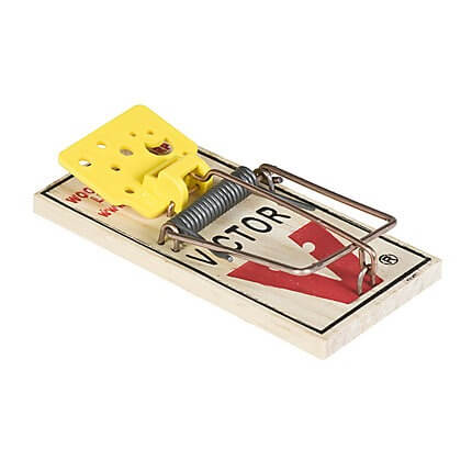 Easy Set Mouse Trap  Lancelot Janitorial